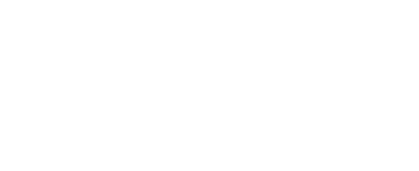 MHD Holding